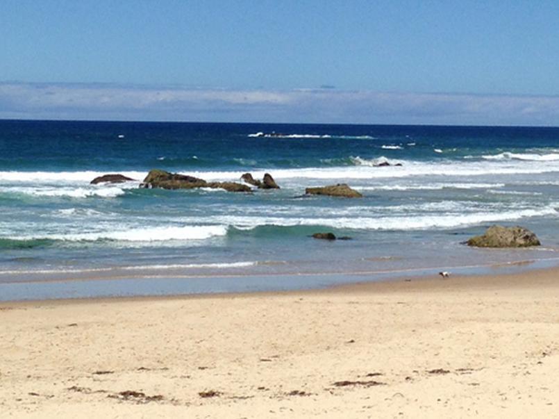 Oxley Cove Holiday Apartment Port Macquarie Exterior foto